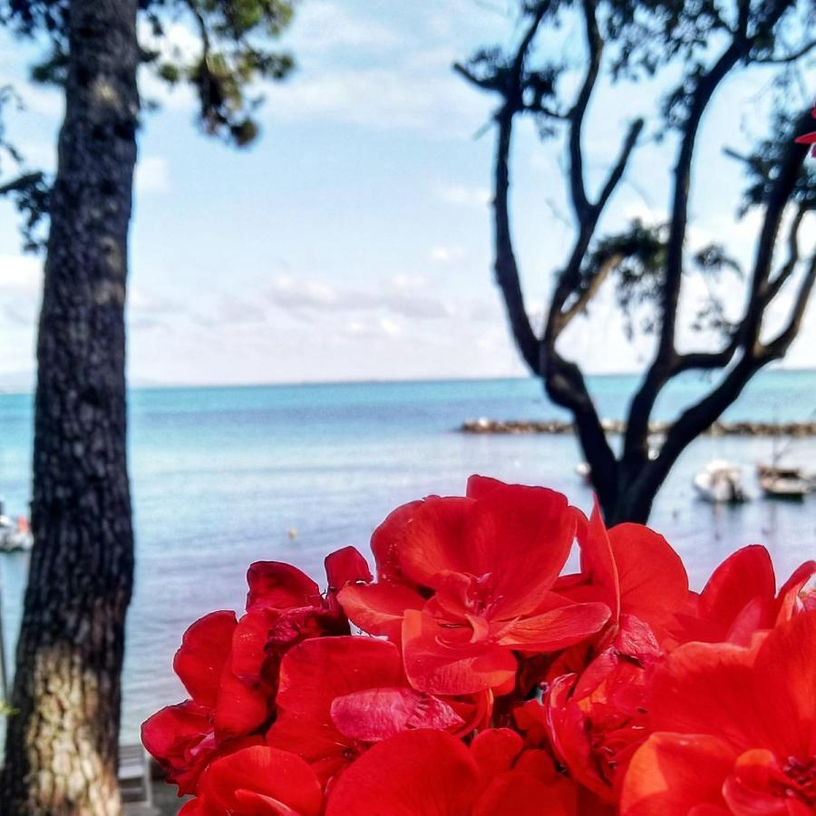 Albergo Miramare Castiglioncello Bagian luar foto